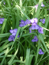 IMGP0523.JPGのサムネール画像