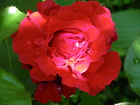 IMGP1199.JPGのサムネール画像