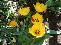 IMGP2788.JPGのサムネール画像