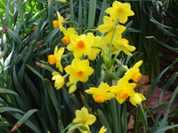 DSC00551.JPGのサムネール画像