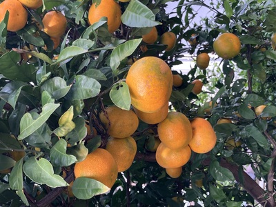 IMG_8557.jpegのサムネール画像のサムネール画像